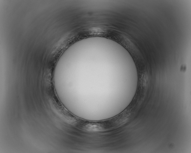 X0000111190557200907151352