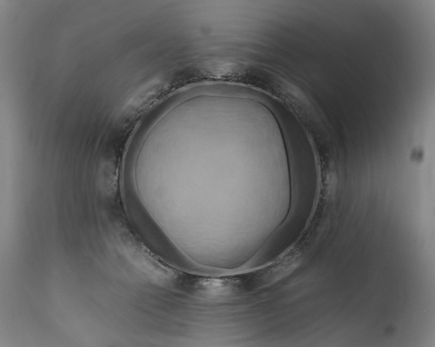 X0000111190558200907151352