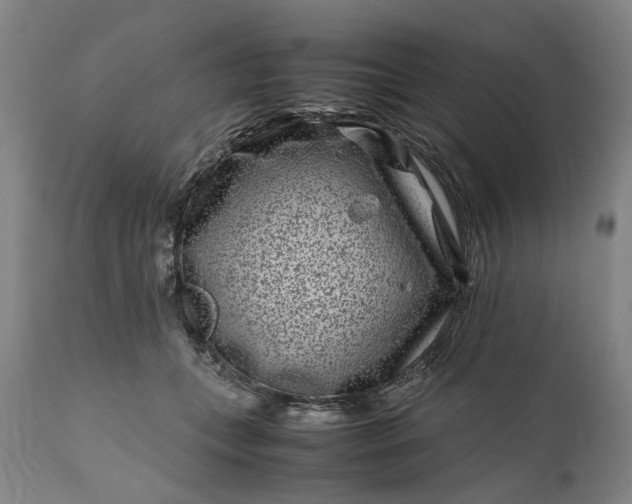 X0000111190559200907151352