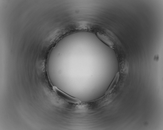 X0000111190560200907151352