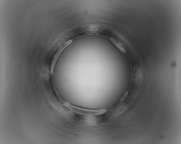 X0000111190562200907151352