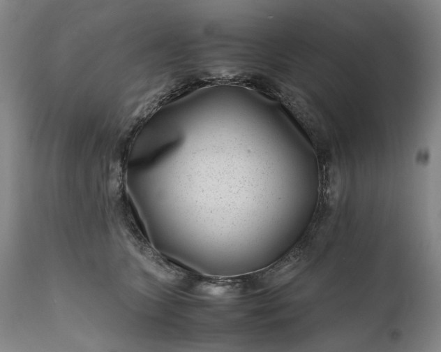 X0000111190563200907151352