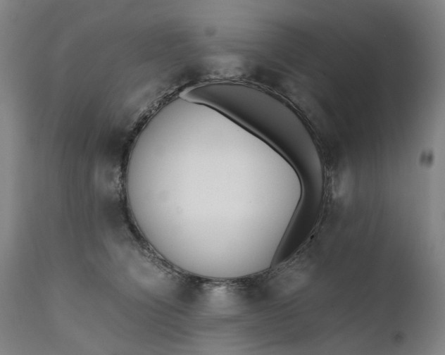 X0000111190564200907151352