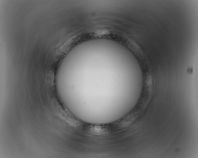 X0000111190565200907151352