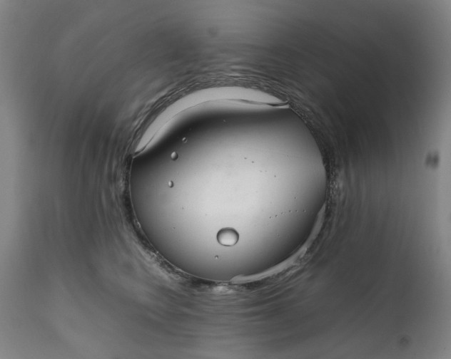 X0000111190566200907151352