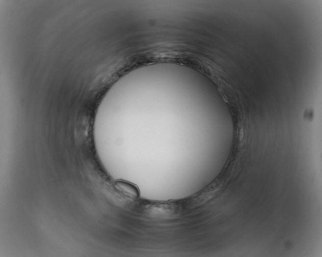 X0000111190567200907151352