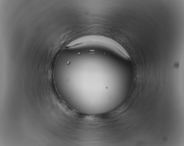 X0000111190568200907151352