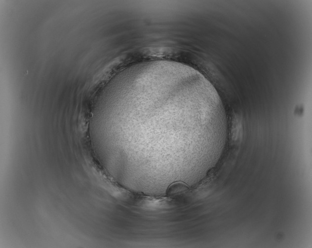 X0000111190569200907151352