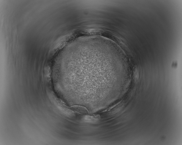 X0000111190571200907151352