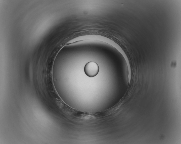 X0000111190572200907151352