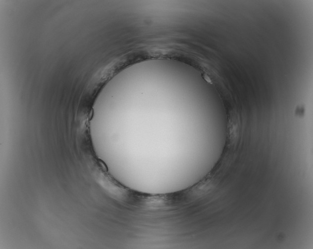 X0000111190574200907151352