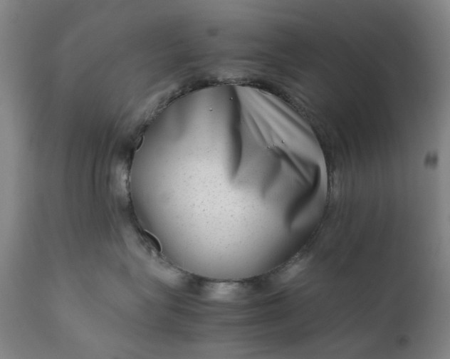 X0000111190575200907151352