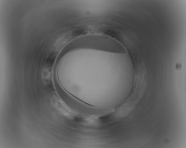 X0000111190576200907151352