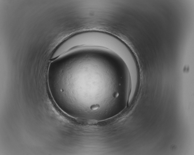 X0000111190577200907151352