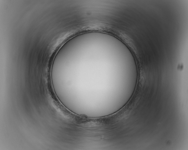 X0000111190578200907151352