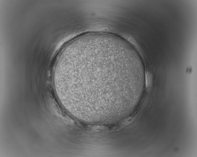 X0000111190579200907151352