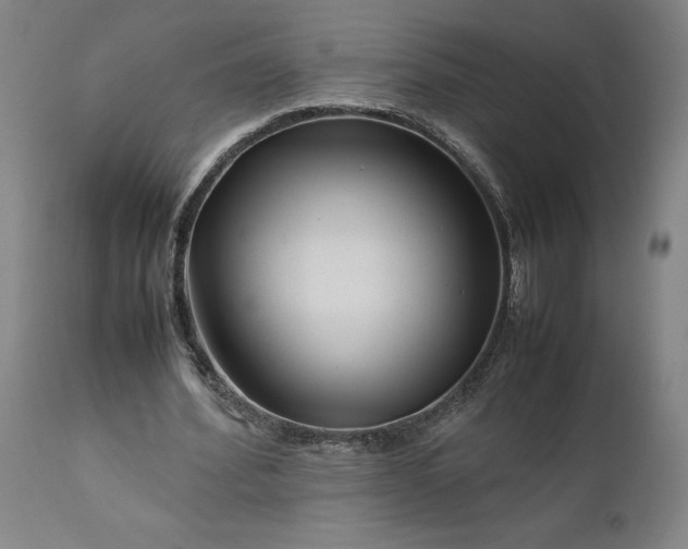 X0000111190580200907151352