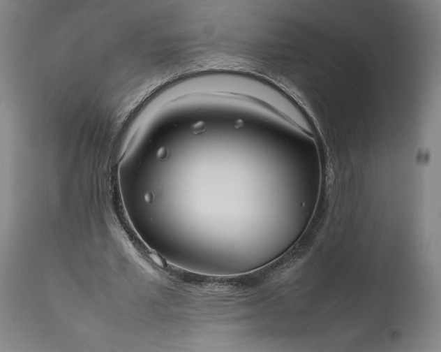 X0000111190581200907151352