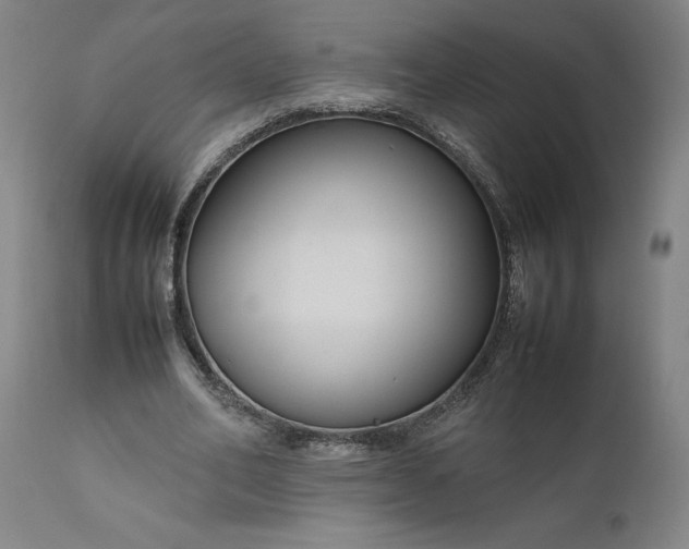 X0000111190582200907151352