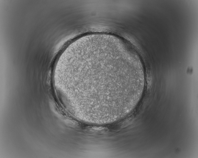 X0000111190583200907151351