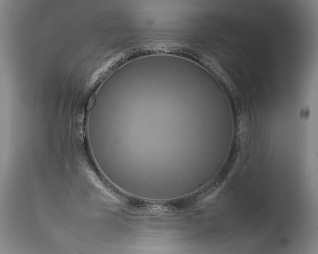 X0000111190585200907151351