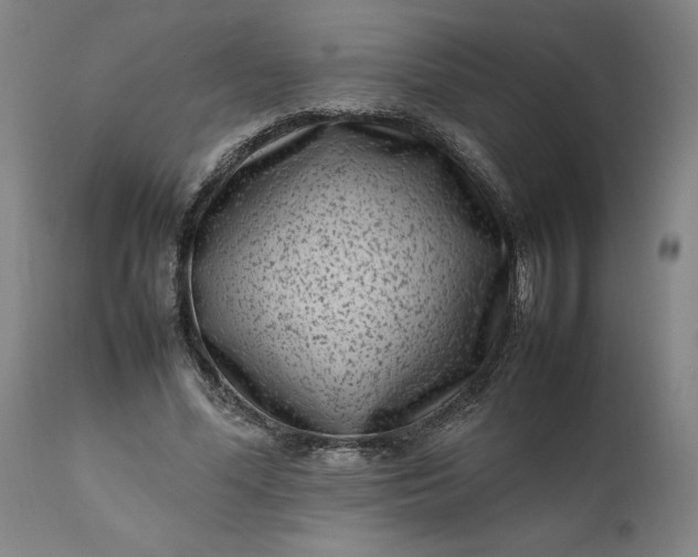 X0000111190588200907151351