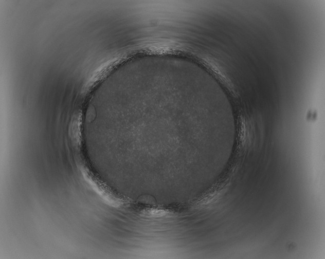 X0000111190590200907151351