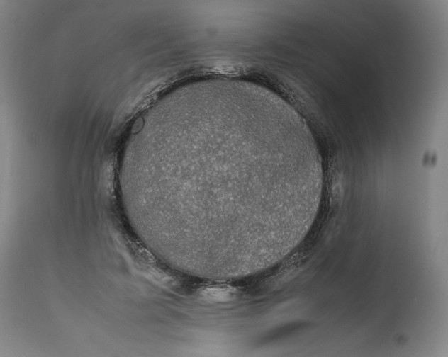 X0000111190595200907151351