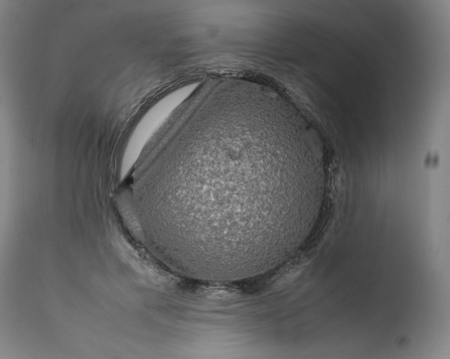 X0000111190597200907151351