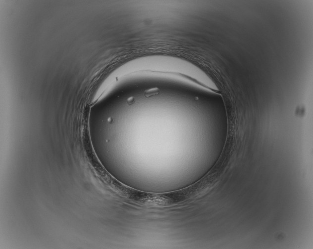 X0000111190599200907151351