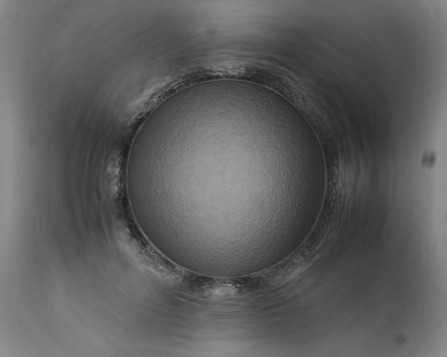 X0000111190600200907151351