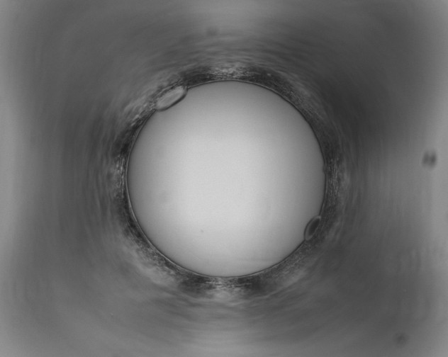 X0000111190601200907151351