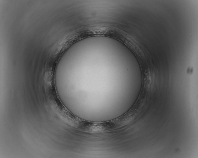 X0000111190604200907151351