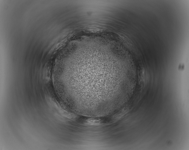 X0000111190606200907151351