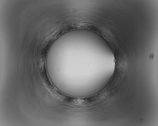 X0000111190607200907151351