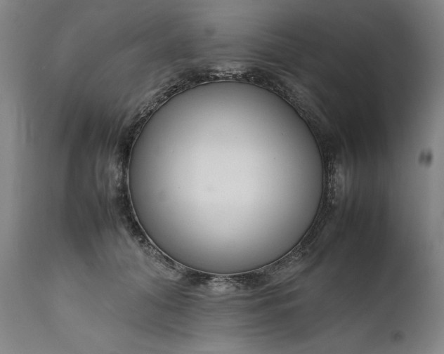 X0000111190608200907151351