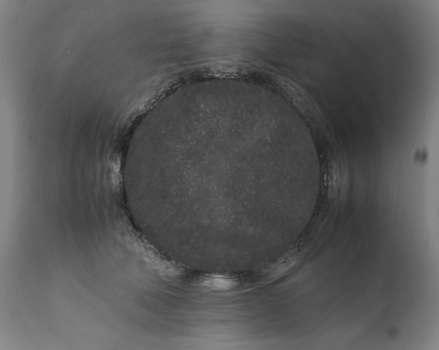 X0000111190610200907151351