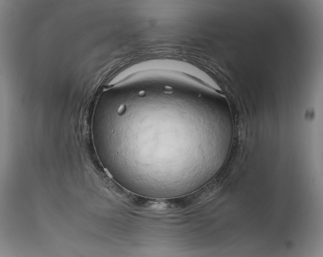 X0000111190611200907151351