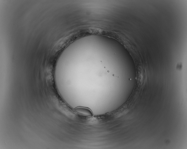 X0000111190616200907151351