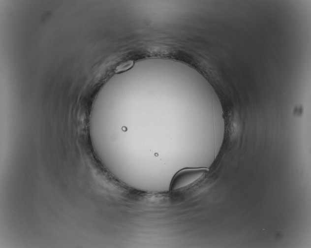 X0000111190619200907151351