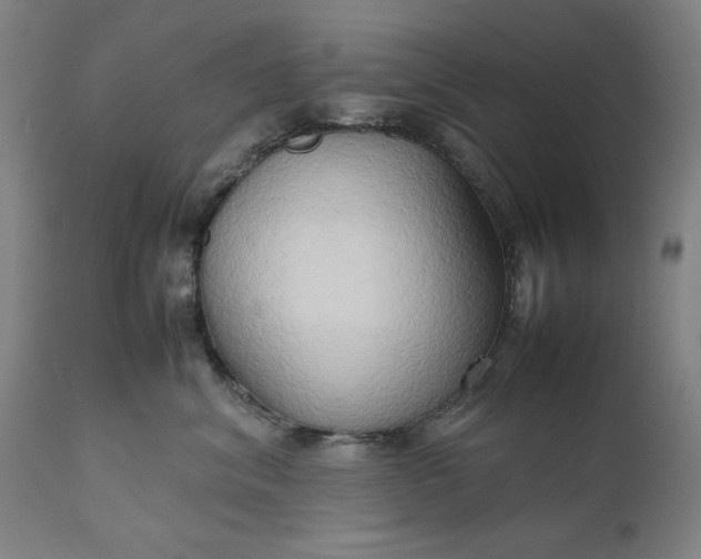 X0000111190620200907151351