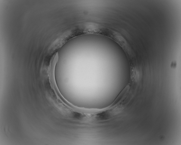 X0000111190621200907151351