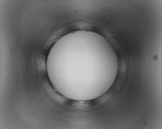 X0000111190622200907151351