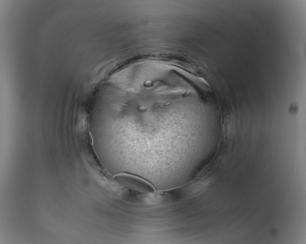 X0000111190623200907151351