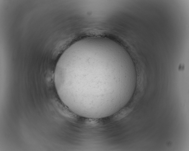 X0000111190624200907151351