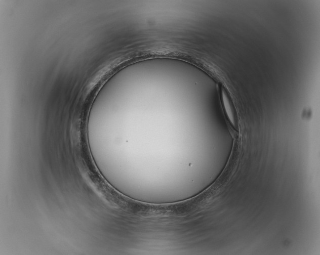 X0000111190626200907151350