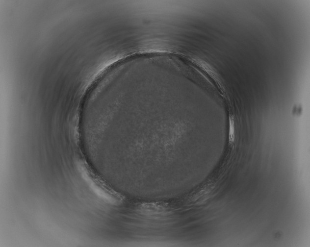 X0000111190627200907151350