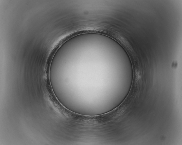 X0000111190628200907151350