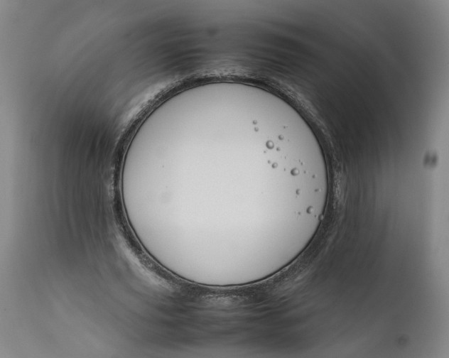 X0000111190629200907151350