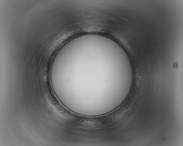 X0000111190631200907151350